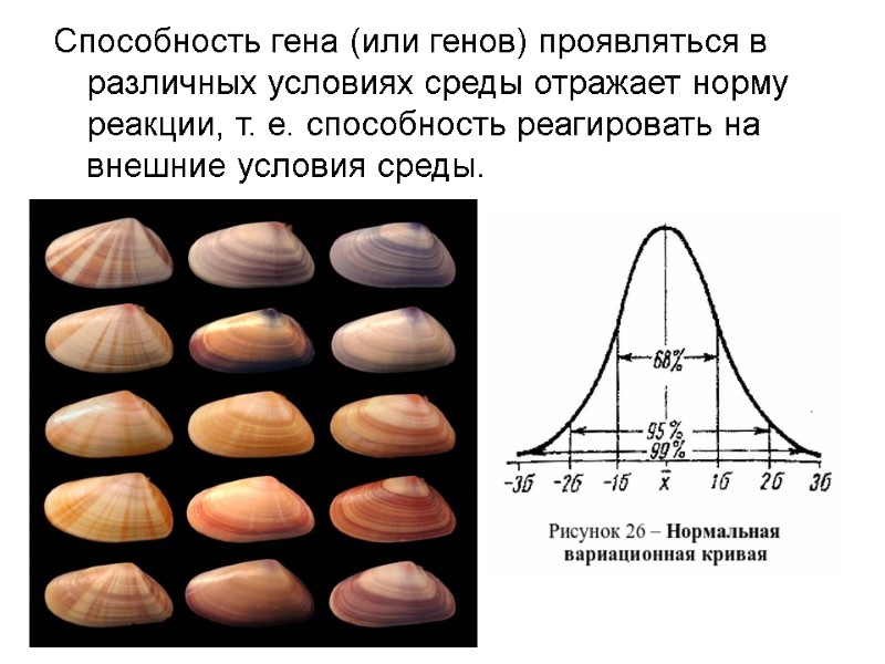 Способность гена (или генов) проявляться в различных условиях среды отражает норму реакции, т. е.